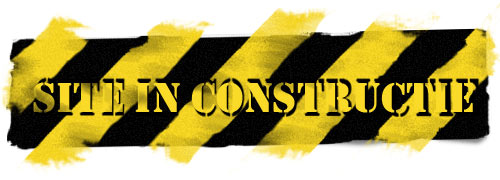 Site in constructie